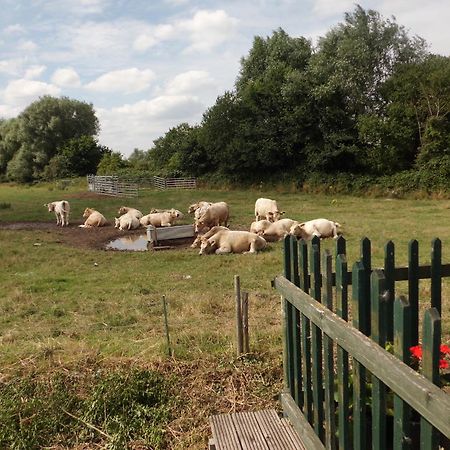 The Elms Bed and Breakfast East Harling Exteriör bild